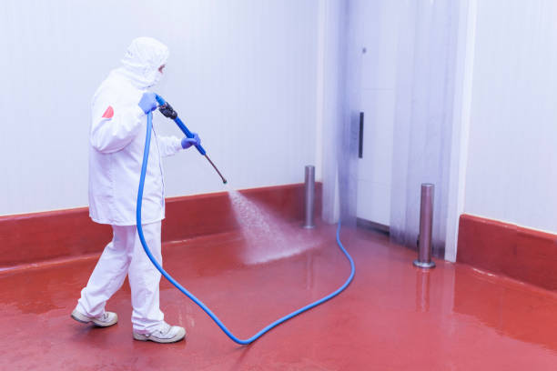 Best Spring Cleaning  in Empire, CA